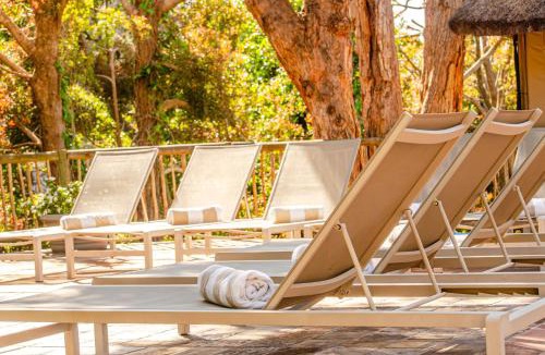 Constantia Cabin | Ikhaya Safari Lodge