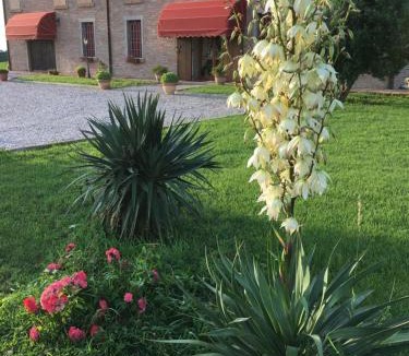 Voghenza Bed & Breakfast | Il Frattiero B&B