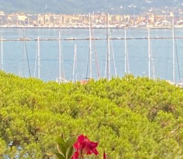 Fezzano Apartment | Il Nido d'amare