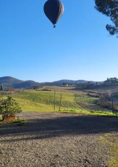 Scandicci Bed & Breakfast | Il Poggio B&B