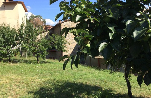Stia House | In the shadow of the chestnut trees of the Casentino