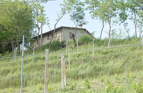Modigliana Villa | Independent Villa with 3 apartments for 20 people, Private Pool and Free WiFI