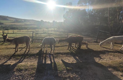 Caledon House | Kleinwatervalplaas Farm Stay Accomodation