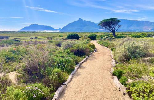 Kommetjie House | Kommetjie Luxury Retreat for Families & Groups by CTHA