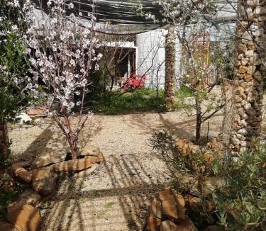 Koringberg Apartment | Koringberg siding cottage