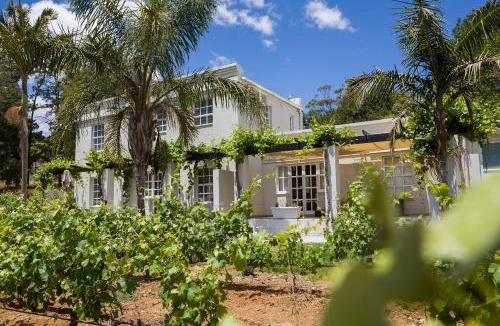 Koelenhof Villa | Kunjani Villas & Wines