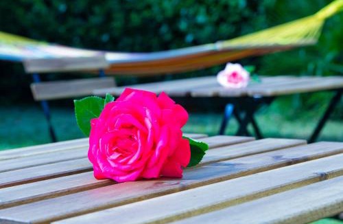Cenaia Bed & Breakfast | La bicicletta Rossa B&B