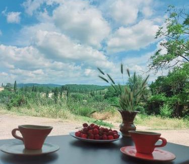 Castelnuovo Berardenga House | La casa di Elvira2