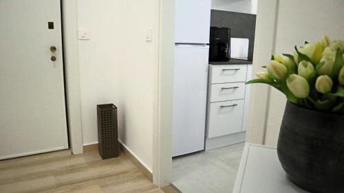 Centro Storico Apartment | La Casa di Lara