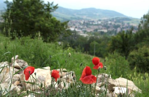 Lesignano de' Bagni Bed & Breakfast | LA MAESTA'