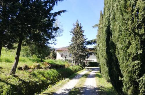 Saturnana House | La Maroneta