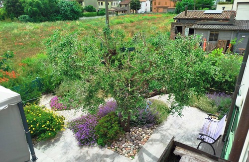 Savio Apartment | La Papessa - Two-room apartment with kitchen and garden renovated in quiet setting