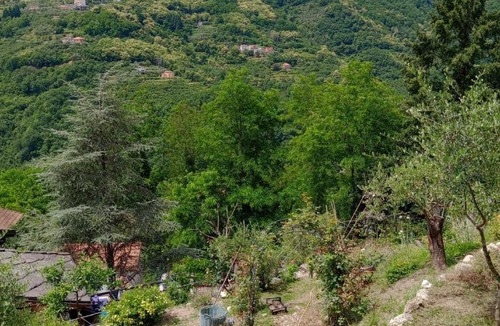 Mezzanego Apartment | La roccia