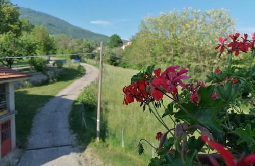 Bedonia House | La soffitta di Anita