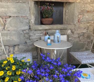 Stia Apartment | La vecchia cartiera