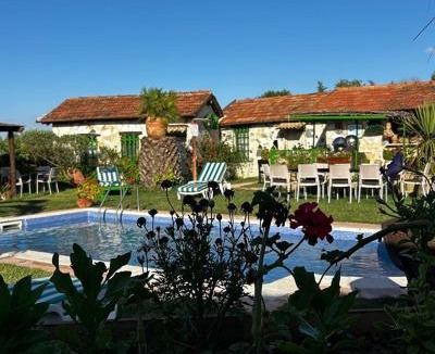 El Alia House | Le Petit Olivier