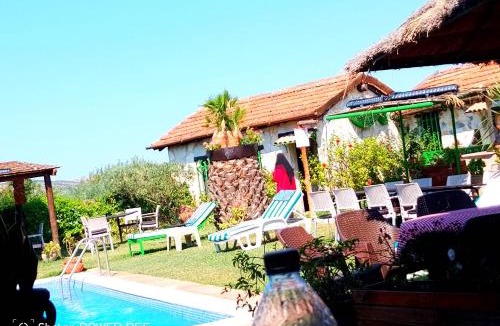 El Alia House | Le Petit Olivier