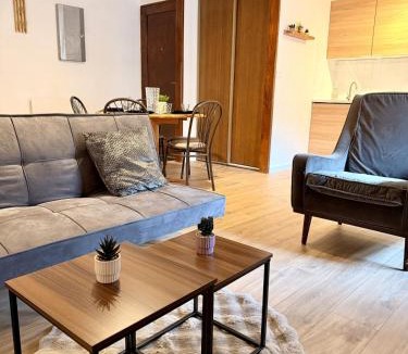 Albertville Apartment | Le Thylleul - Centre-ville, parking
