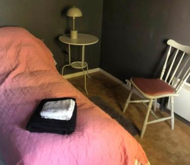 Asnes Municipality Apartment | Leilighet i Damstien