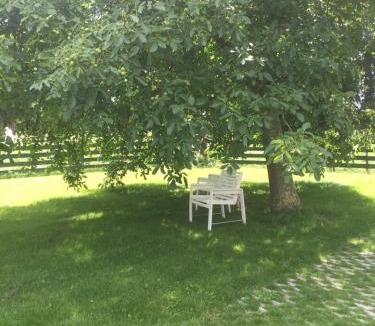 Wijdenes Apartment | Lekerweg 32