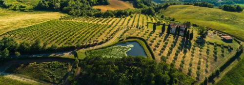 Mercato Saraceno House | Libero Ranch