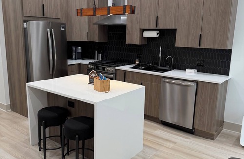 Grand Boulevard Apartment | Living like a local in Bronzeville chicago with massive roof deck