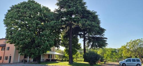 San Donato-San Vitale Bed & Breakfast | Locanda Corte Roveri