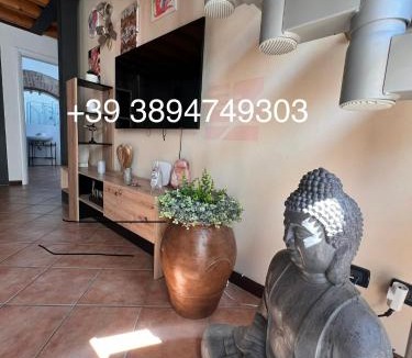 Cremona Apartment | LOFT DEI LUPI Elegante appartamento a 260 m dal Duomo free parking