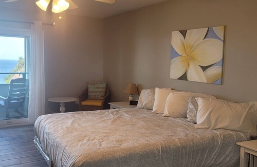 Estate Bolongo Condo | Lovely 2 Bedroom Condo with pool and amazing views
