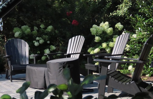 Eastham Cottage | Lovely full remodel with pool walk to 3 beaches - dog friendly w permission