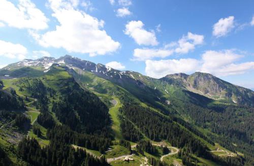Avoriaz Ski Chalet | Luxueux appartement 5 pièces pour 10 personnes avec espace bien-être à Avoriaz - FR-1-314-113