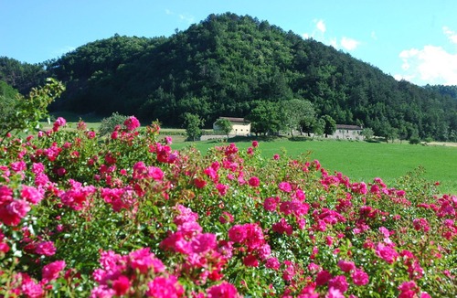 Marradi Apartment | Marradi 3 - Vacation Rental in Mugello, Tuscany