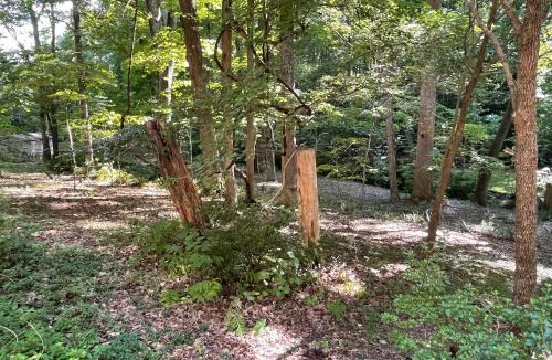 High Point Apartment | Mary's Place - Studio surrounded by nature but close to High Point