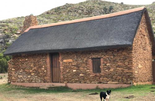 De Rust House | Meijer's Rust