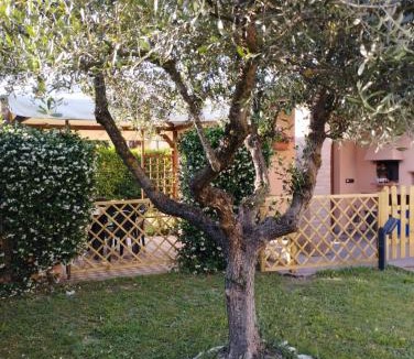 Montopoli in Val d'Arno House | Melody house - dépendance