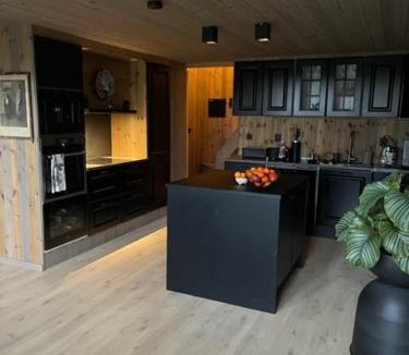 Romskog House | Moderne hytte ved sjøen med badstue