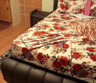 Greater Johannesburg Metropolitan Area House | Moonlight Guest House