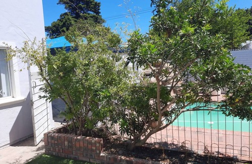 Rondebosch House | Neat 3 bedroom house in tranquil setting in Rondebosch