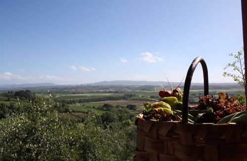 Treggiaia House | NESPOLO cottage, on the Tuscan hills between Pisa and Florence, ideal for 4 p
