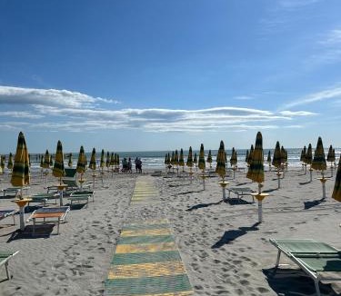 Zadina Pineta Other | New Campsite in Cesenatico Camping Village