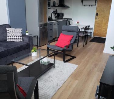 Downtown Vancouver Apartment | New York Style Loft in Downtown Vancouver-Ideal for World Cup 2026, Sleeps 4