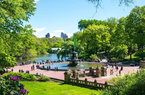 East Harlem Apartment | New York Style Stay near Central Park