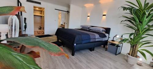 Nana House | Newly renovated 1 bedroom condo NANA