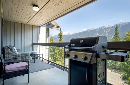 Blueberry Hill Apartment | Newly renovated | Free parking | BBQ | AC