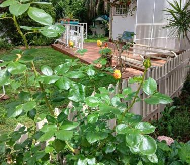 Bedfordview Apartment | "O Sole Mio" Garden apartment in Bedfordview 12 minutes from OR Tambo International Airport