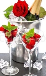 Lower Lonsdale Bed & Breakfast | Ocean Breeze Executive Bed and Breakfast