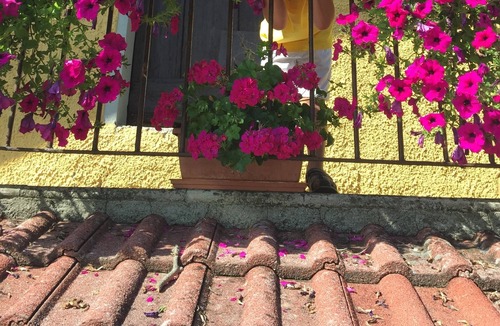 Palagano House | Old Mountain House