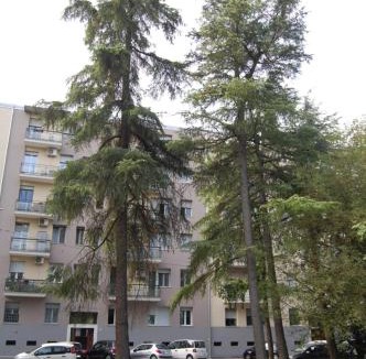 San Donato-San Vitale House | Orchidea