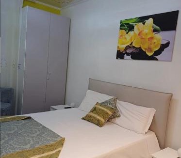 San Donato-San Vitale House | Orchidea