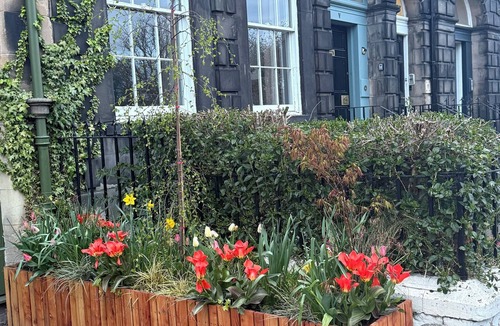 Leith Apartment | Over looking park land - "Leith-Links", the home of golf! Tram stop 2 mins away.